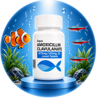 Fish Amoxicillin Clavulanate