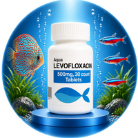 Fish Levofloxacin