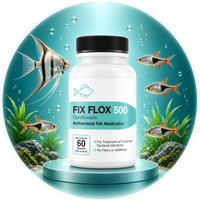 Fish Ciprofloxacin