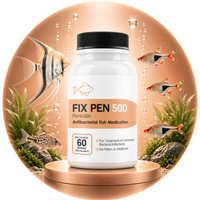 Fish Penicillin