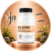 Fish Azithromycin
